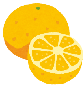 fruit_grapefruit2